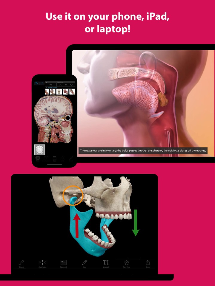 Human Anatomy Atlas 2022＋ screenshot image 14_Popularmodapk.com
