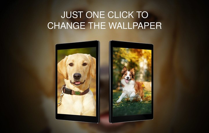 Wallpapers 4K with dogs screenshot image 8_Popularmodapk.com