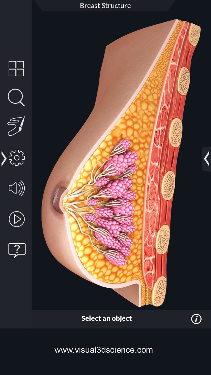 Organs Anatomy Pro. screenshot image 8_Popularmodapk.com