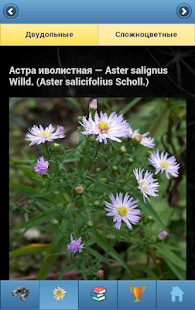 FWB Dating & NSA Hookup: FWBS screenshot image 4_Popularmodapk.com