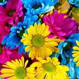 508 words9.1_Popularmodapk.com