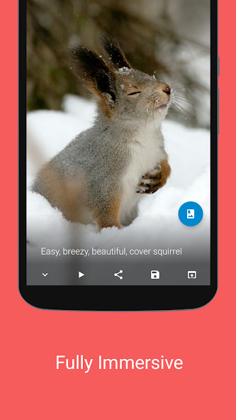 Repost for reddit<span>(Unlocked)</span> screenshot image 5_Popularmodapk.com