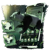 Panda Forest Launcher Theme2.1_Popularmodapk.com