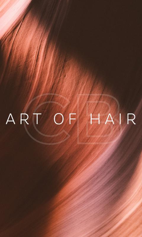 Cappola-Brokaw Art of Hair screenshot image 25_Popularmodapk.com