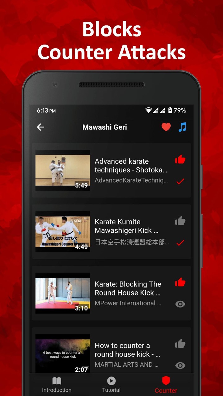 Karate Training - Videos screenshot image 8_Popularmodapk.com