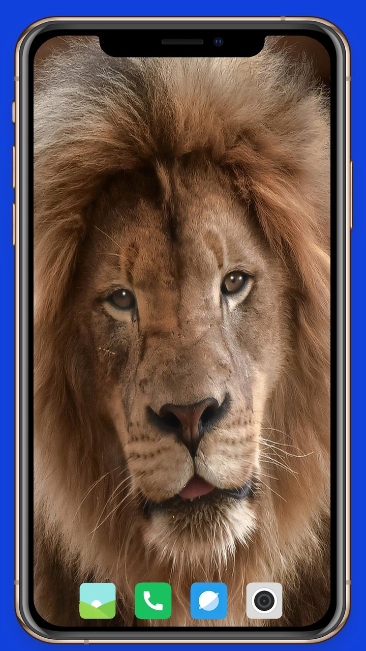 Lion Wallpaper screenshot image 17_Popularmodapk.com