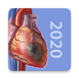 Physiology & Pathology<span>(Unlock Full Content)</span>1.0.11_Popularmodapk.com
