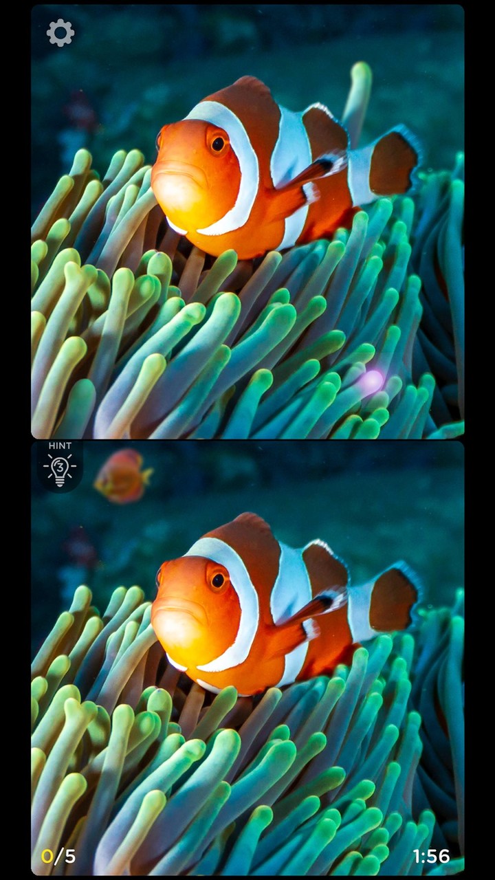 Spot The Difference: Fashion screenshot image 1_Popularmodapk.com