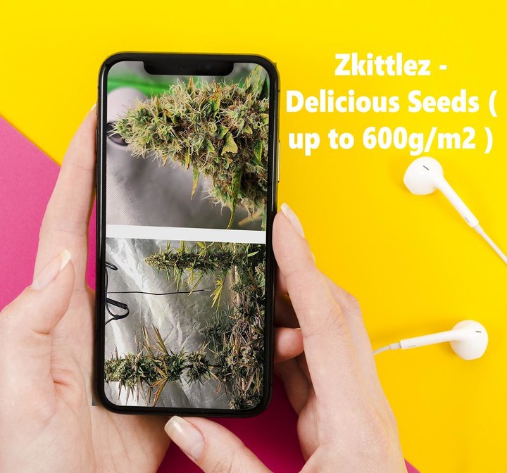 Grow Weed Farm:Cannabis Plants screenshot image 5_Popularmodapk.com