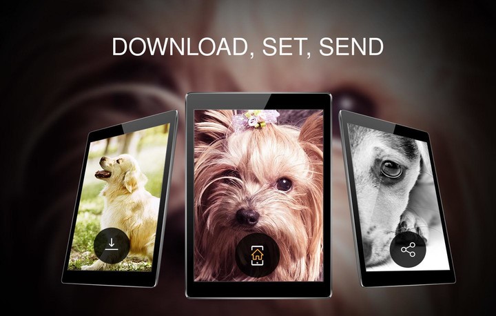 Wallpapers 4K with dogs screenshot image 7_Popularmodapk.com