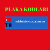 PLAKA KODLARI10.8.6_Popularmodapk.com