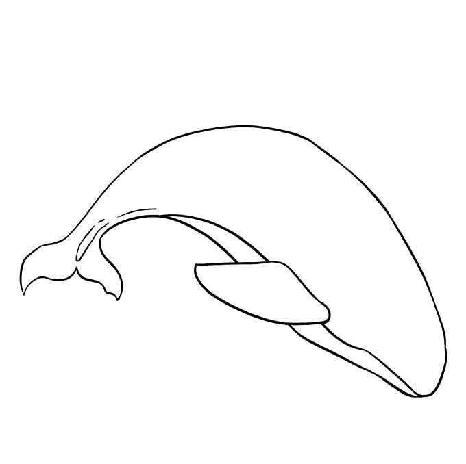 How to draw animals step by st screenshot image 10_Popularmodapk.com