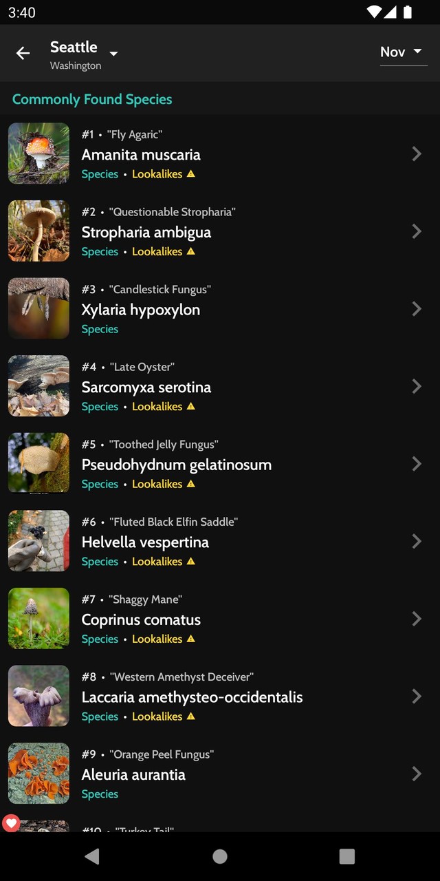 守护之境<span>(Beta)</span> screenshot image 21_Popularmodapk.com