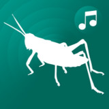 ringtones crickets for phone1.26_Popularmodapk.com