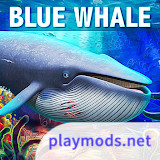 Blue Whale Simulator - Game<span>(Unlimited Resources)</span>1.1.8_Popularmodapk.com
