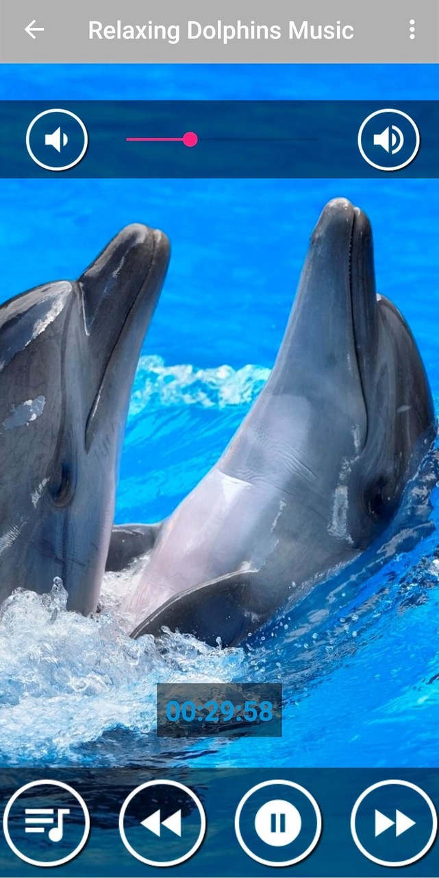 Dolphin Sounds to Sleep screenshot image 6_Popularmodapk.com