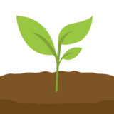 Avocado Habit0.1.1_Popularmodapk.com