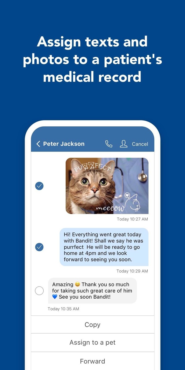 Aztec Ride(No Ads) screenshot image 7_Popularmodapk.com