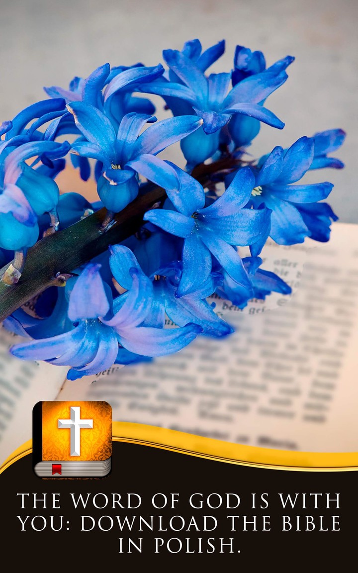Polish Bible screenshot image 11_Popularmodapk.com