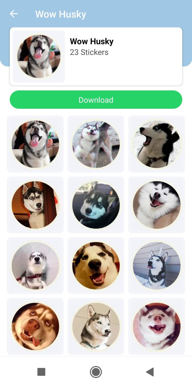 Cute Husky Stickers WAStickers screenshot image 7_Popularmodapk.com