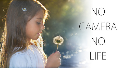 Private Contacts screenshot image 3_Popularmodapk.com