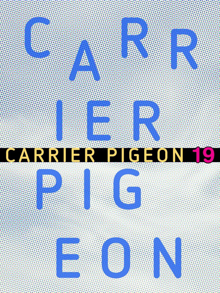 Carrier Pigeon 19 screenshot image 1_Popularmodapk.com