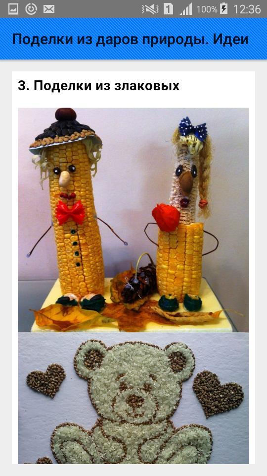 Поделки из даров природы. Идеи screenshot image 4_Popularmodapk.com