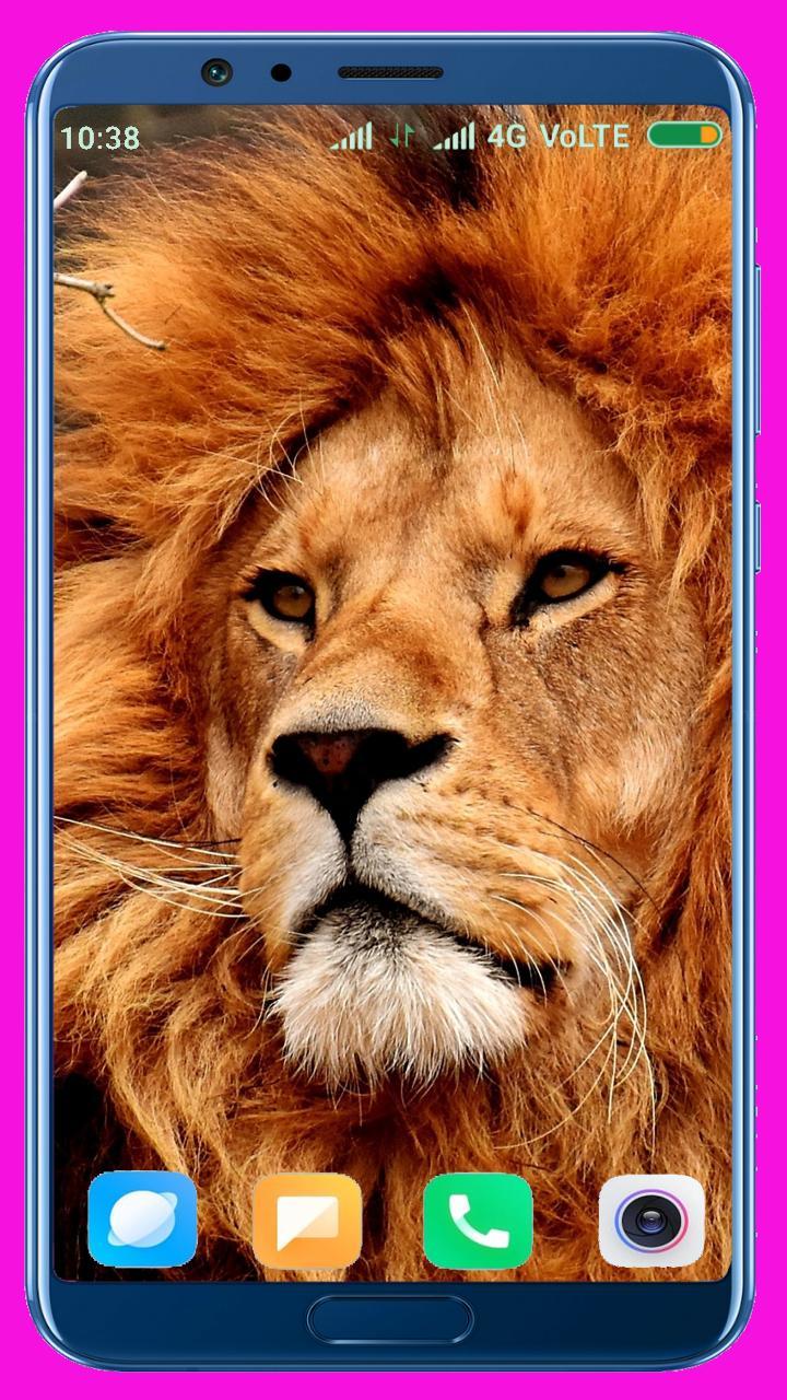 Lion HD Wallpaper screenshot image 37_Popularmodapk.com