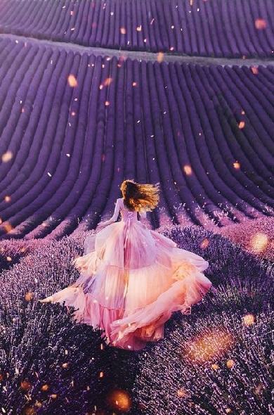 Spring Wallpapers screenshot image 11_Popularmodapk.com