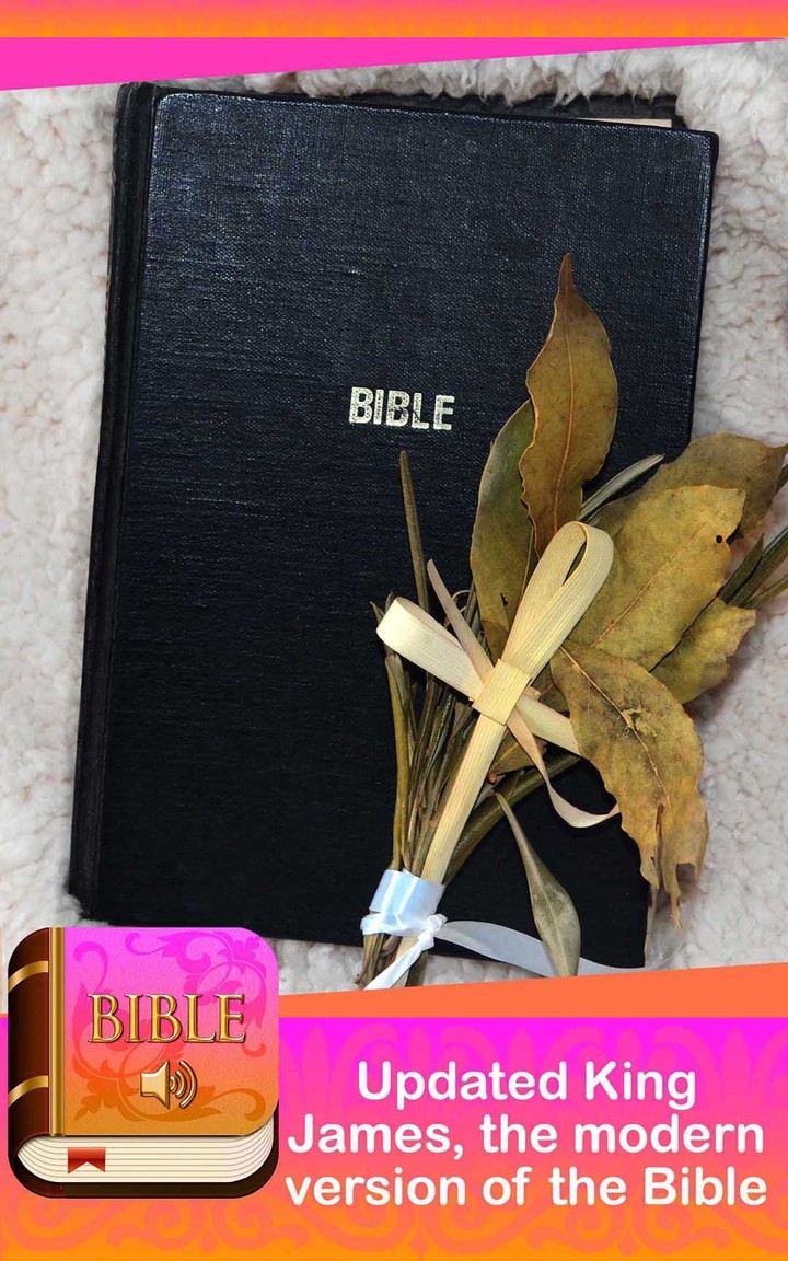 Bible 2022 Offline with audio screenshot image 14_Popularmodapk.com
