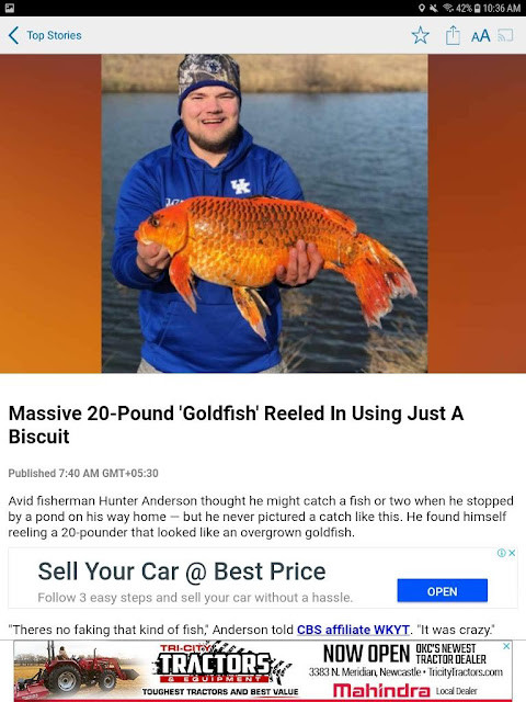 News 9 screenshot image 9_Popularmodapk.com