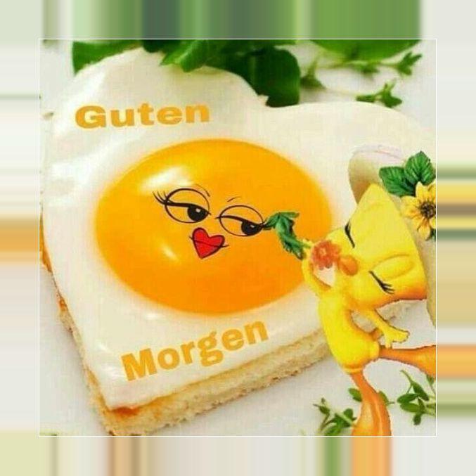 Guten Morgen Foto für Whatsapp screenshot image 12_Popularmodapk.com