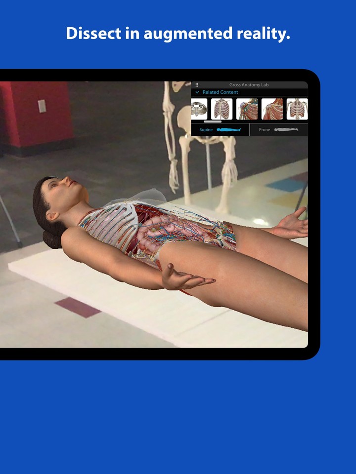 Human Anatomy Atlas 2022＋ screenshot image 20_Popularmodapk.com