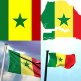 Senegal Flag Wallpaper: Flags 1.0.20_Popularmodapk.com
