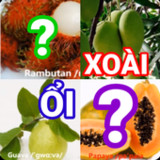 đoán tên trái cây tiếng việt10.15.1_Popularmodapk.com