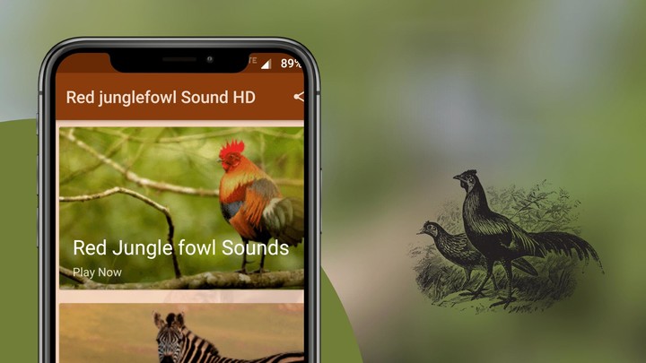 Red Junglefowl Sounds screenshot image 2_Popularmodapk.com