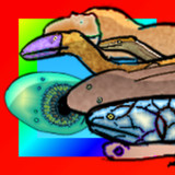 Animal Evolution2.22_Popularmodapk.com