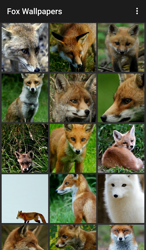 永不言弃3：世界破解版（多人对战模式）<span>(mod)</span> screenshot image 2_Popularmodapk.com