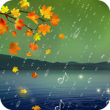 Rain HD Wallpaper1.13_Popularmodapk.com