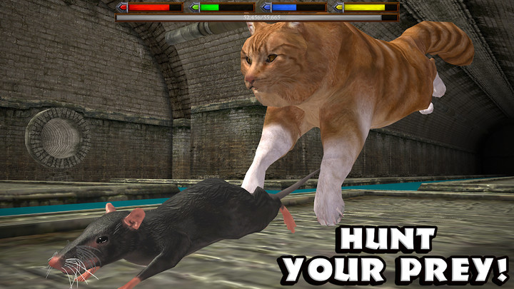 Ultimate Cat Simulator<span>(Unlimited money)</span> screenshot image 2_Popularmodapk.com