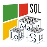 LoMag Warehouse online + MSSQL1.3.32_Popularmodapk.com