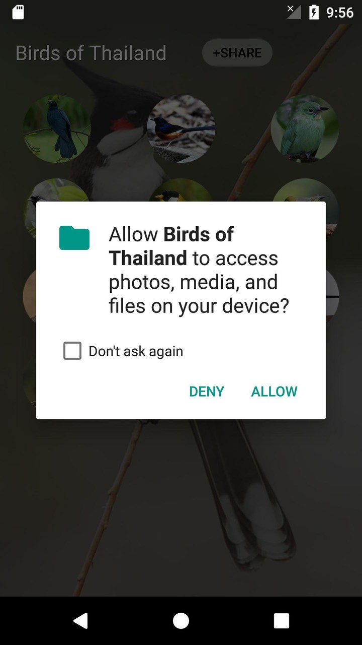 bird sounds from Thailand screenshot image 9_Popularmodapk.com