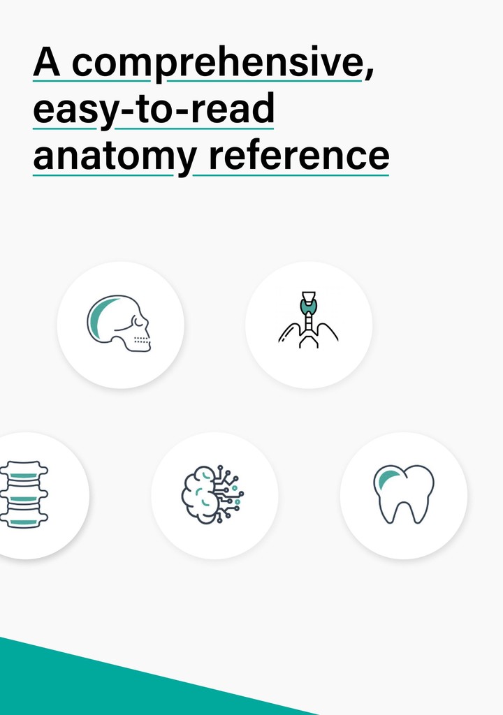Teach Me Anatomy screenshot image 19_Popularmodapk.com