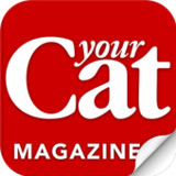 Your Cat Magazine6.12.5_Popularmodapk.com