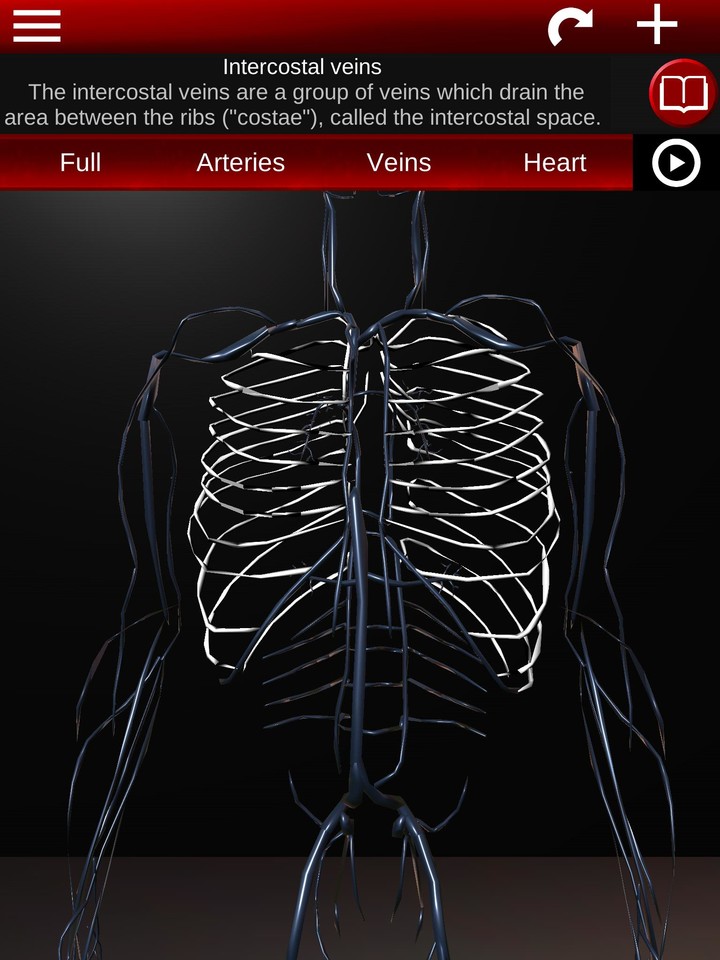 Circulatory System 3D Anatomy screenshot image 13_Popularmodapk.com