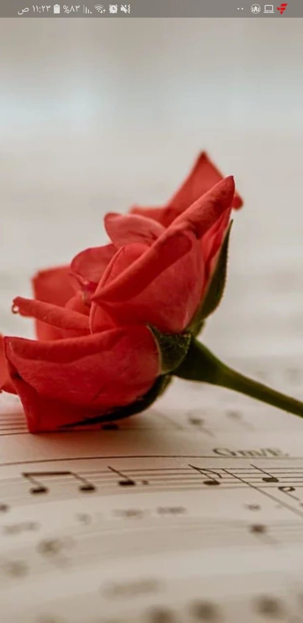 أجمل أغاني العشق بدون نت screenshot image 5_Popularmodapk.com