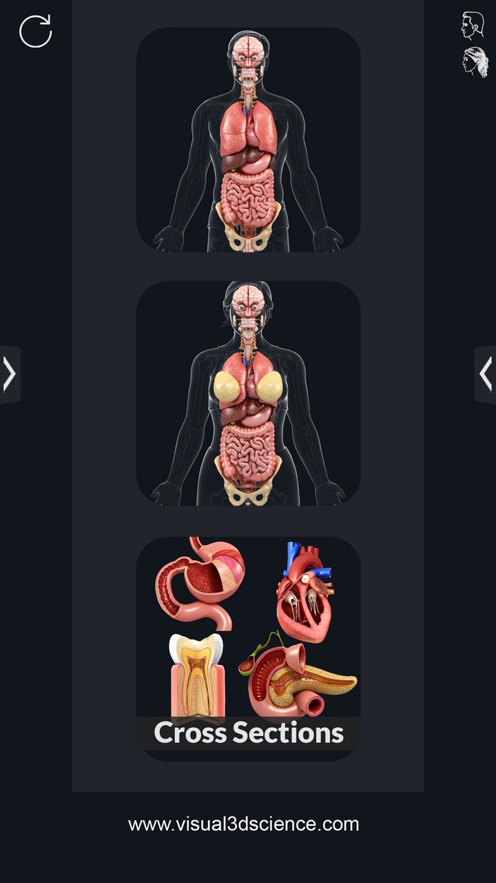 Organs Anatomy Pro. screenshot image 1_Popularmodapk.com