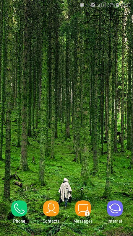 Forest Wallpaper screenshot image 25_Popularmodapk.com