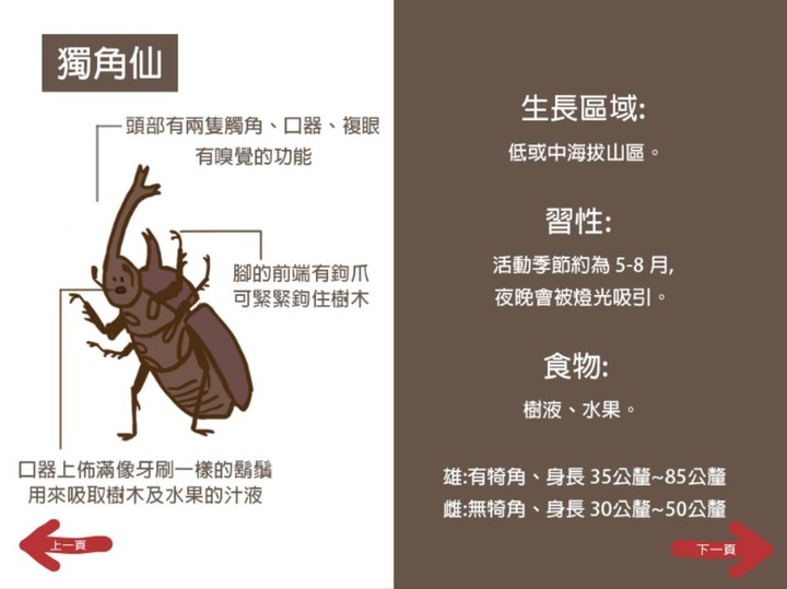 甲蟲尋親記 screenshot image 7_Popularmodapk.com