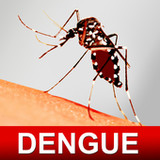 Dengue Fever Cure & Foods Diet2.5_Popularmodapk.com